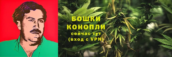 спайс Пестово