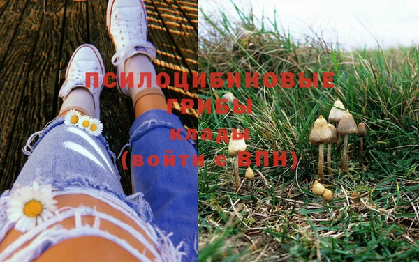 круглые Пересвет