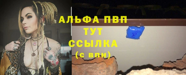 круглые Пересвет