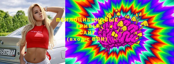 спайс Пестово