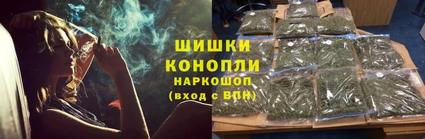 круглые Пересвет