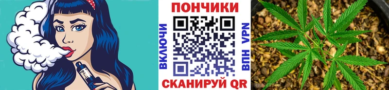 Каннабис Bruce Banner  Фокино 